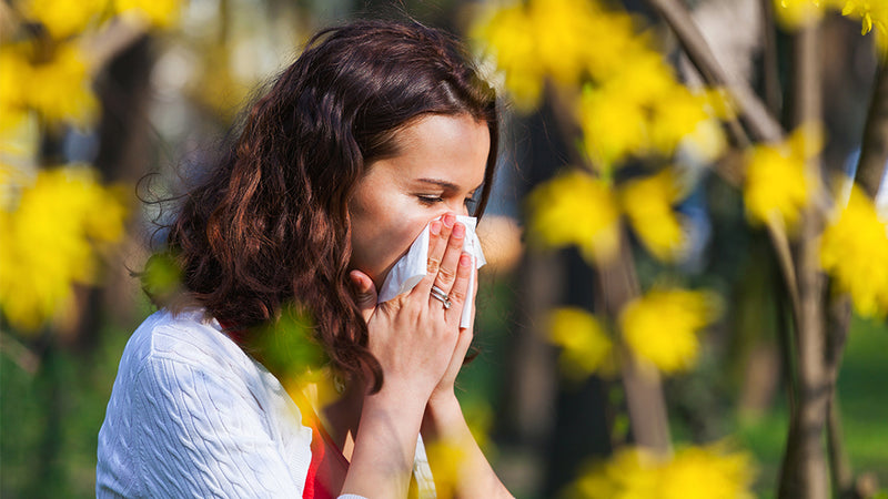 Heuschnupfen: 4 Pollenallergie-Tipps und welche Rolle der Darm dabei spielt