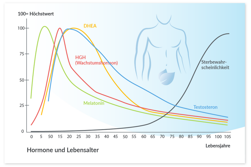 Eine Grafik, die zeigt, wie sich die Hormone in zunehmendem Alter bei Männern verhalten.  DHEA, HGH, Testosteron und Melatonin nehmen stetig ab.