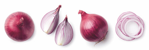 Rote Zwiebel