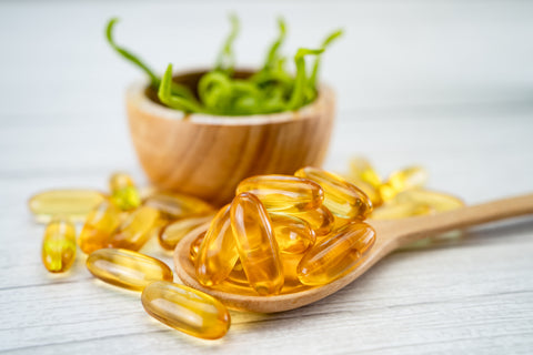 Fischöl vs. Algenöl: Ein Löffel mit Omega-3-Kapseln und dahinter eine Schale mit Algen