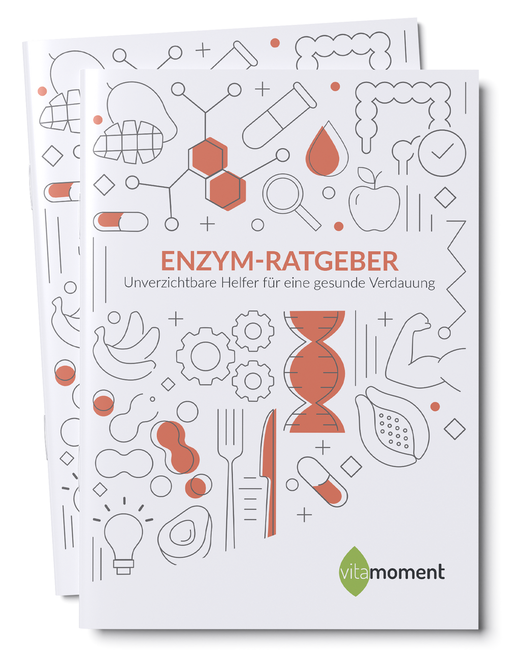Enzym-Ratgeber - VitaMoment Produkt