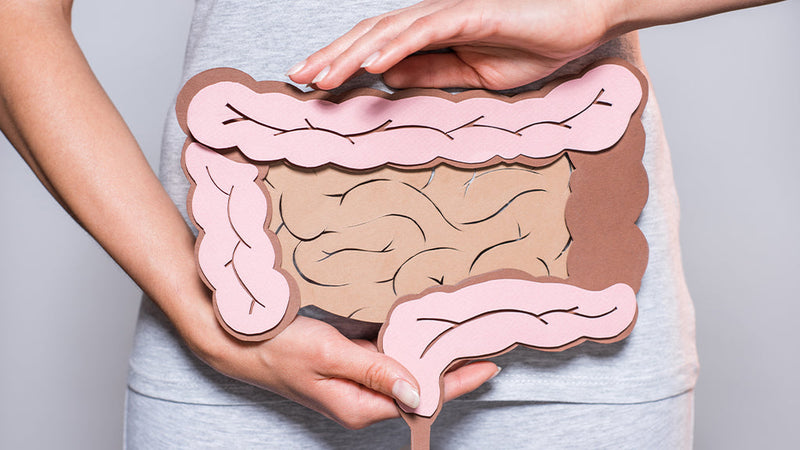 Leaky-Gut-Syndrom: So kannst du einem durchlässigen Darm vorbeugen