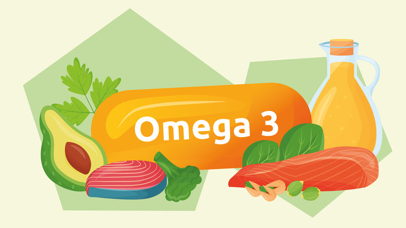 03 Omega 3 - Das Mangel-Fett
