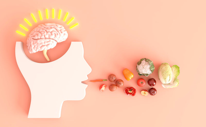 ADHS - Vitamine und Nährstoffe: Modell eines Kopfes mit Gehirn, das Gemüse isst
