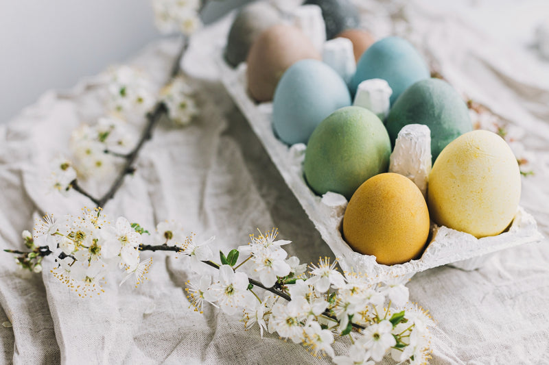 Ostereier natürlich färben: farbige Ostereier in einer Eierverpackung, daneben ein Zweig mit Kirschblüten