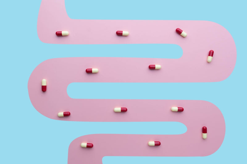 Antibiotika-Tabletten im Darm