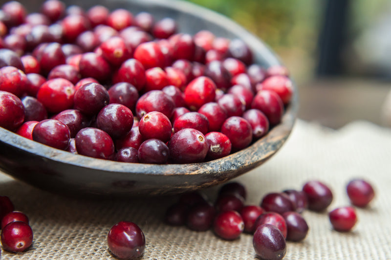 Antioxidantien: Eine Schale mit Cranberries