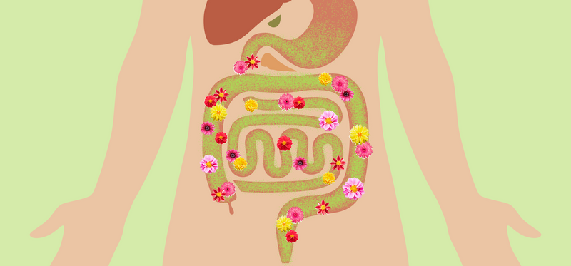 Grafik: Dein Darm ist wie eine Blumenwiese