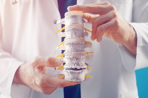 Osteochondrose Symptome, Usachen, Therapie: Arzt zeigt Modell einer Wirbelsäule
