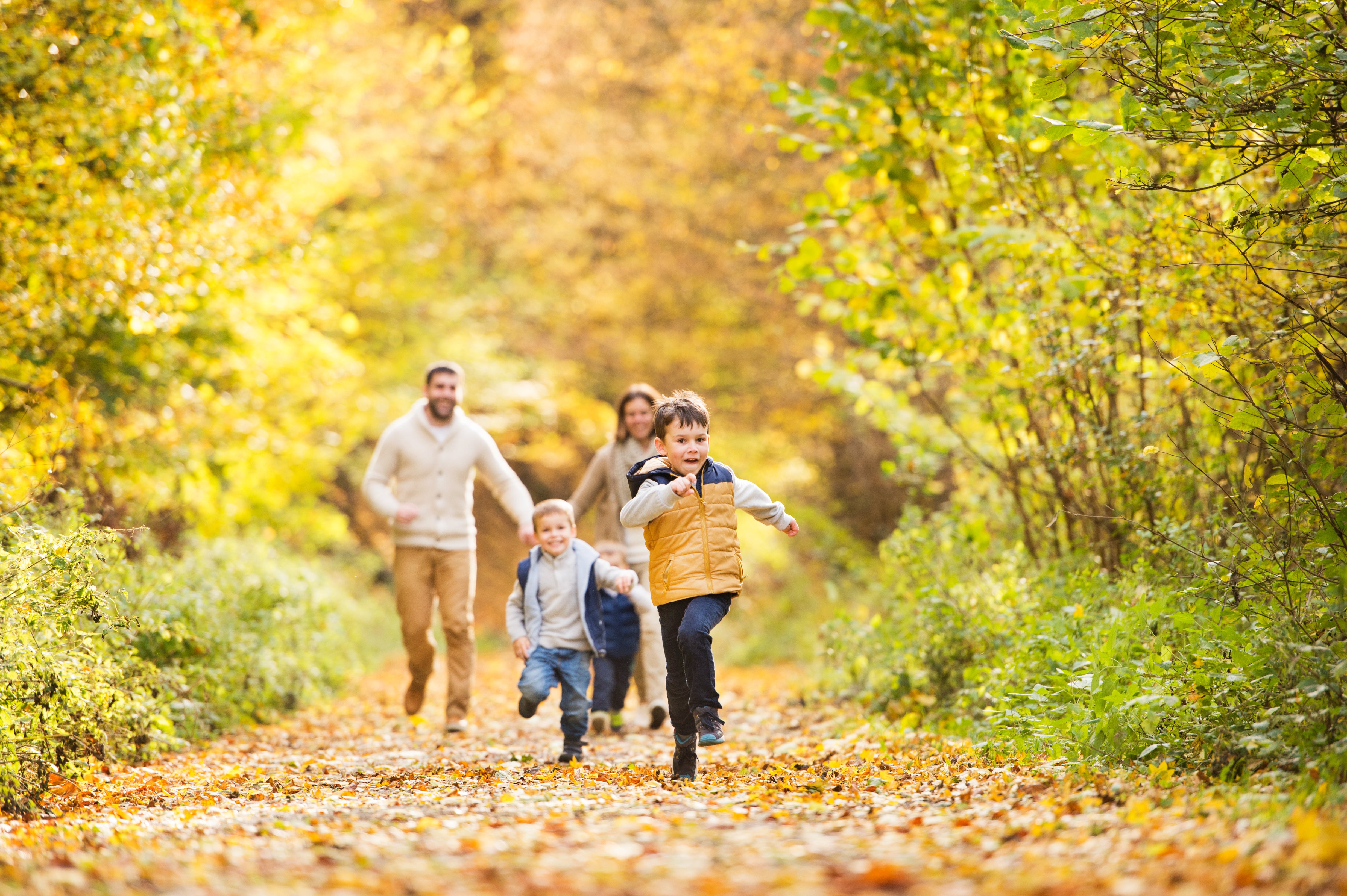 Herbstblues: Familie macht einen Spaziergang im herbstlichen Wald