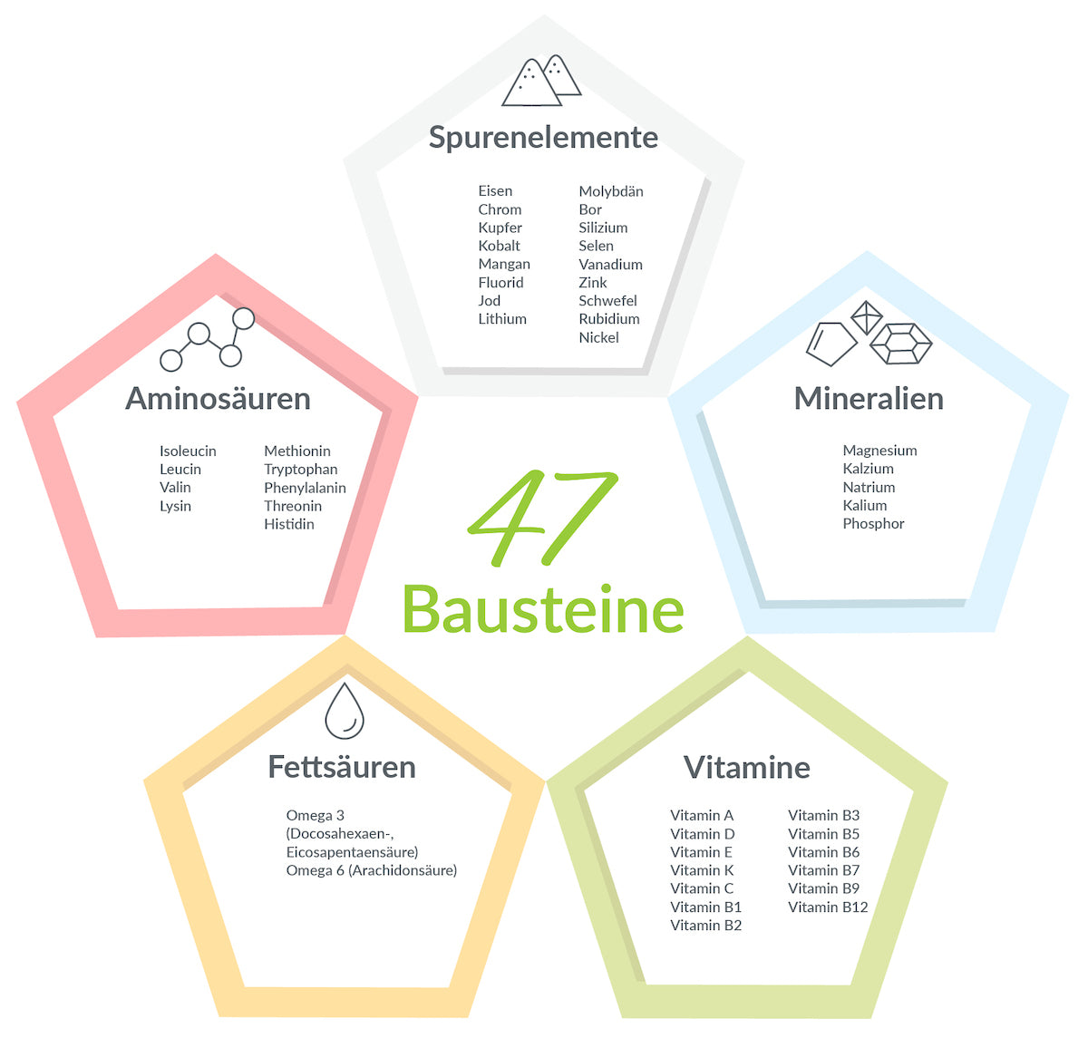 Infografik: 47 Bausteine der Ernährung
