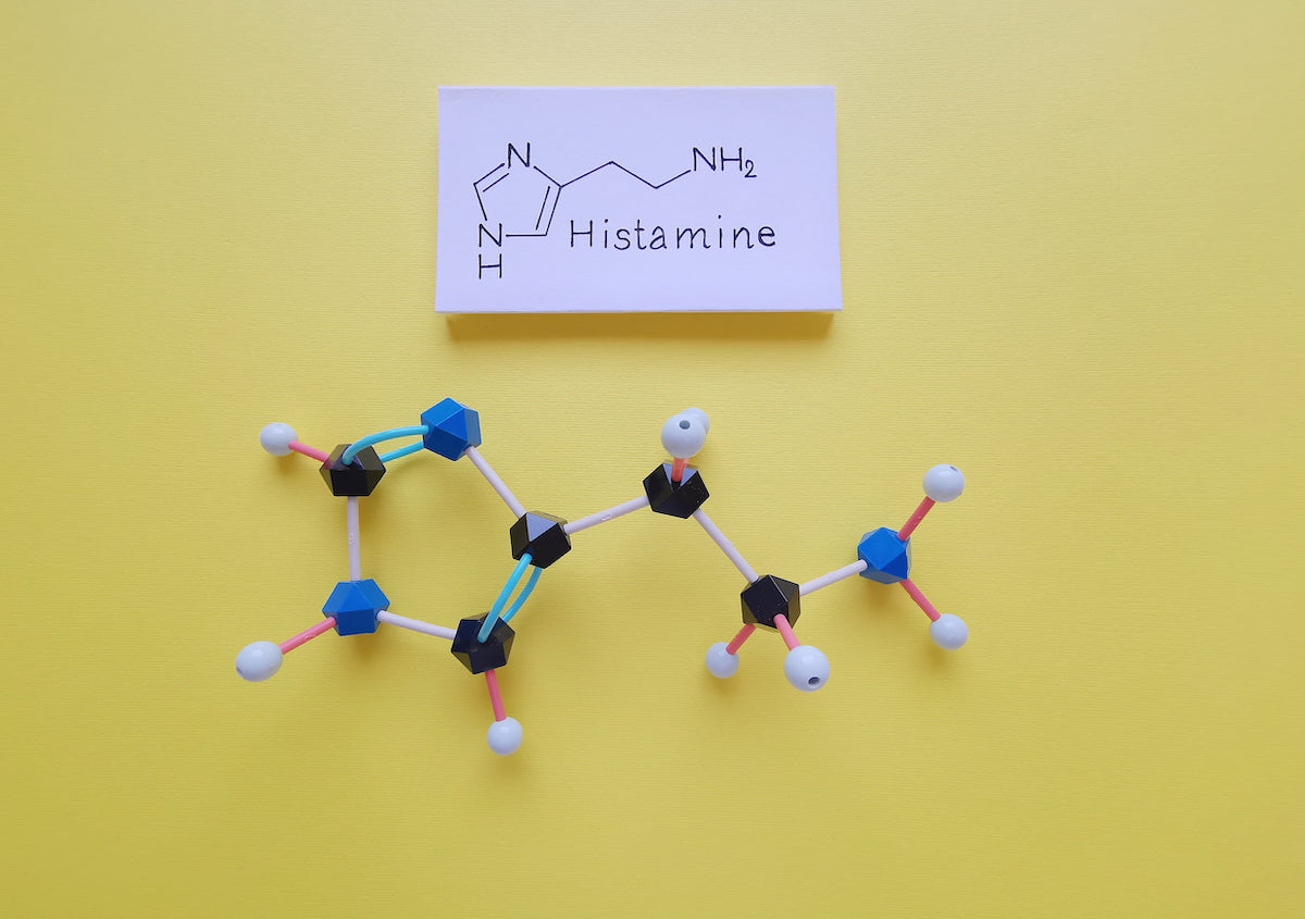 Modellhafte Darstellung von Histamin