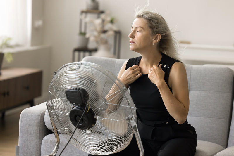 Hitzewallung ventilator