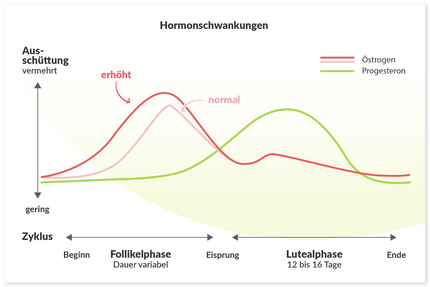Hormone: Verlaufsdiagramm des weiblichen Zyklus und dessen Hormonen
