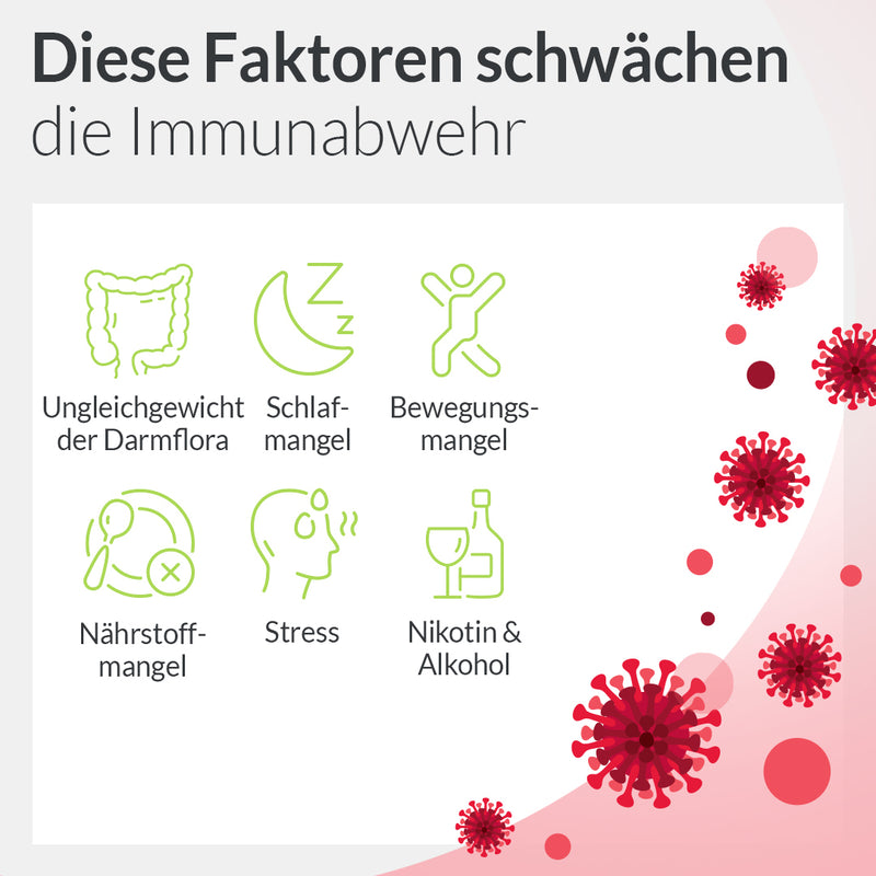 Immunsystem stärken: Infografik - diese Faktoren schwächen deine Immunabwehr