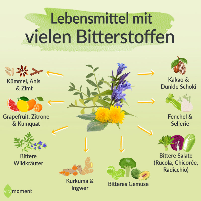 Bitterstoffe Wirkung: Infografik Lebensmittel mit vielen Bitterstoffen