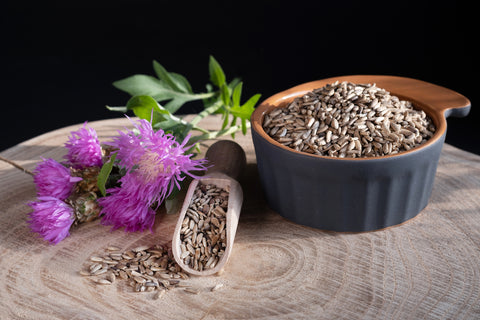 Adaptogene: Mariendistel Pflanze und Samen