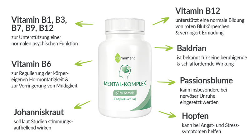 Mental komplex inhaltsstoffe salespage