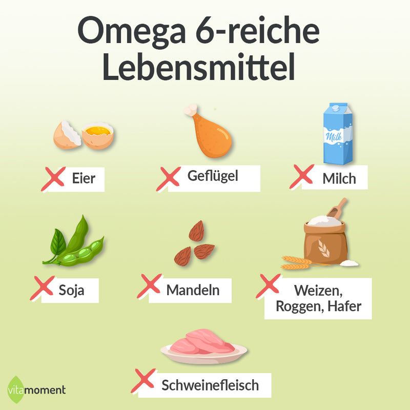 Omega 6 Lebensmittel: Infografik Lebensmittel mit Omega-6-Fettsäuren (Eier, Geflügel, Schweinefleisch u.a.)