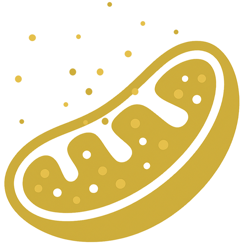 Q10 icon 3
