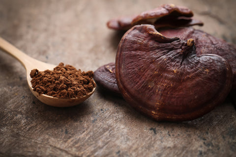 Adaptogene: Reishi-Knolle und ein Löffel mit Reishi-Pulver