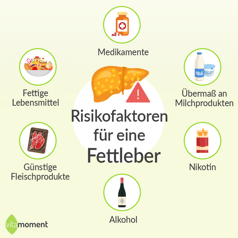 Risikofaktoren Fettleber: Medikamente, Übermaß an Milchprodukten, Nikotin, Alkohol, Günstige Fleischprodukte, Fettige Lebensmittel