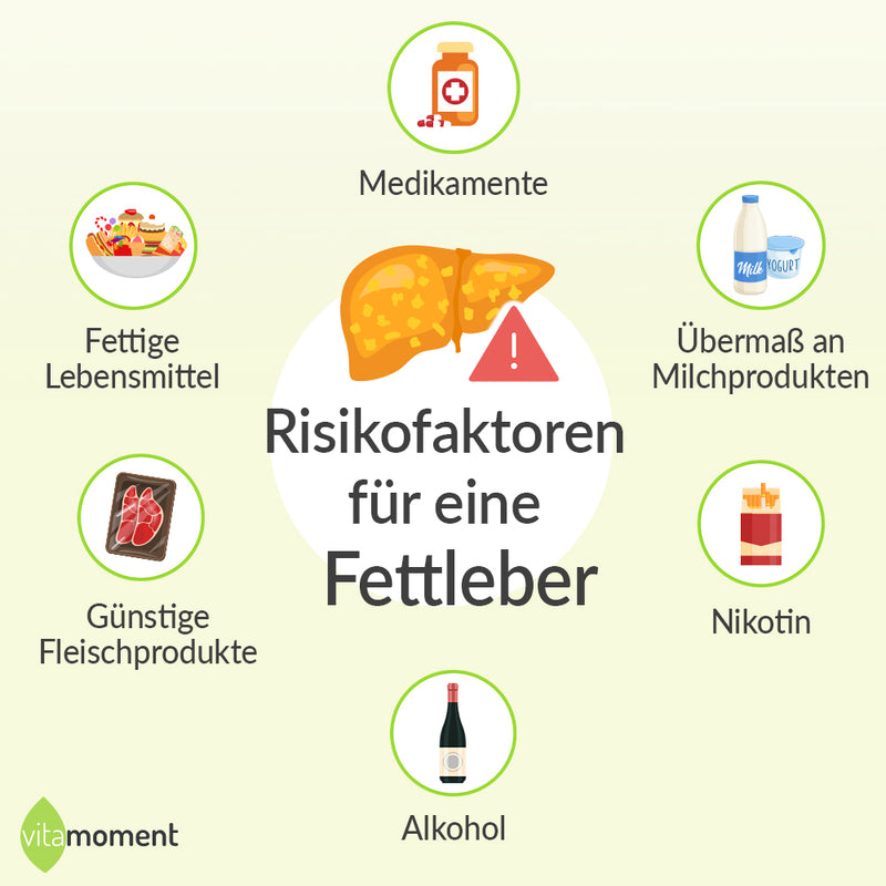 Fettleber Symptome Ursachen: Infografik Risikofaktoren für eine Fettleber