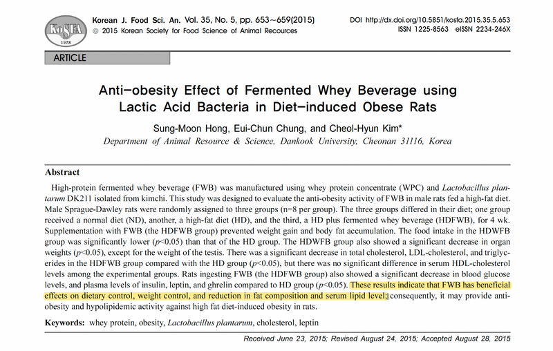 Studie fermented whey beverage lactic acid bacteria