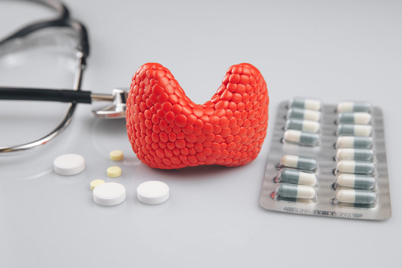 Modell einer Schilddrüse und verschiedene Tabletten