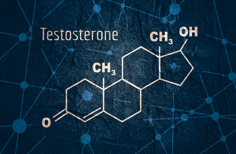 Chemische Formel von Testosteron