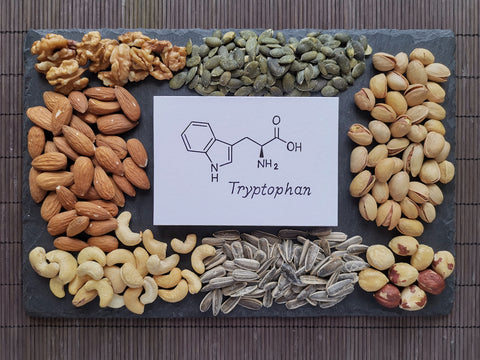 Nüsse und Kerne und in der Mitte ein Schild mit der Strukturformel von Tryptophan