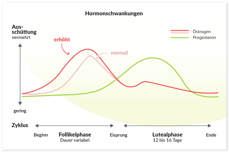 PSM prämenstruelles Syndrom: Infografik Hormonschwankungen während des weiblichen Zyklus
