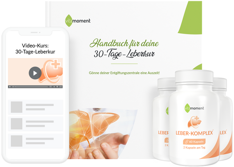 Vm leberkur mockup videokurs handbuch komplex 3x 4fde341e bace 4eb8 8d4e df0d758c0321