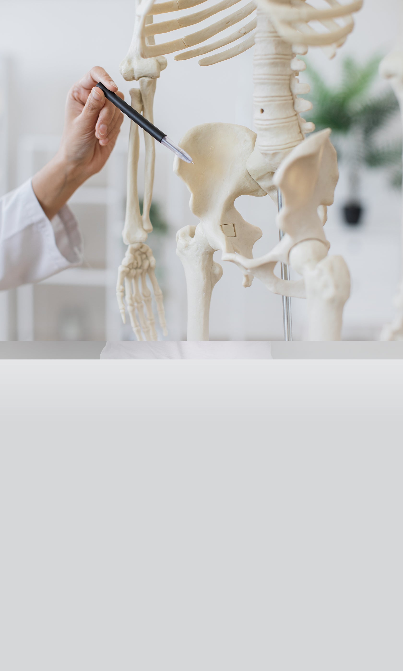 Vm osteo komplex shop header mobile