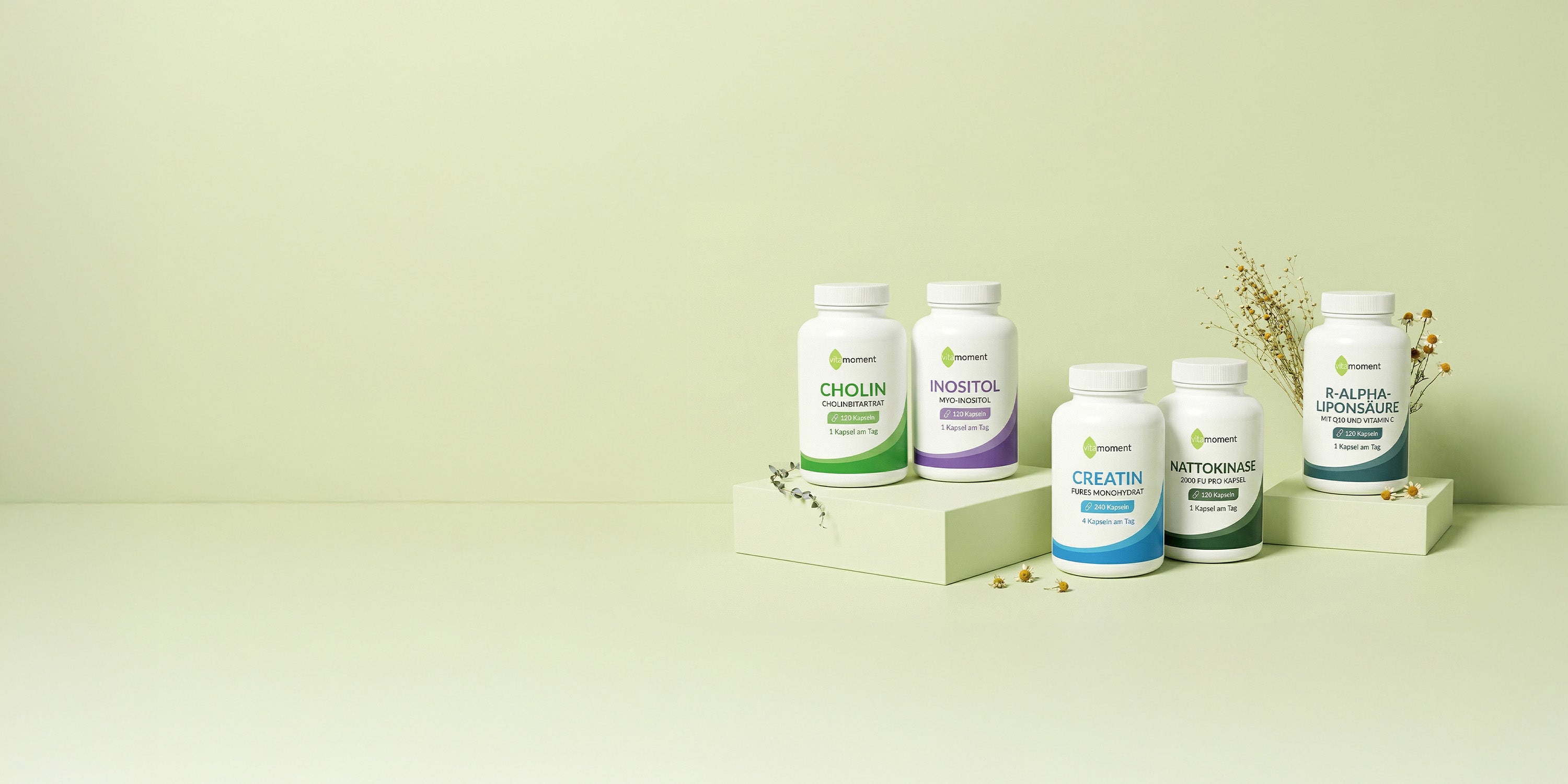 Vm produktrueckblick 03 26 shop header