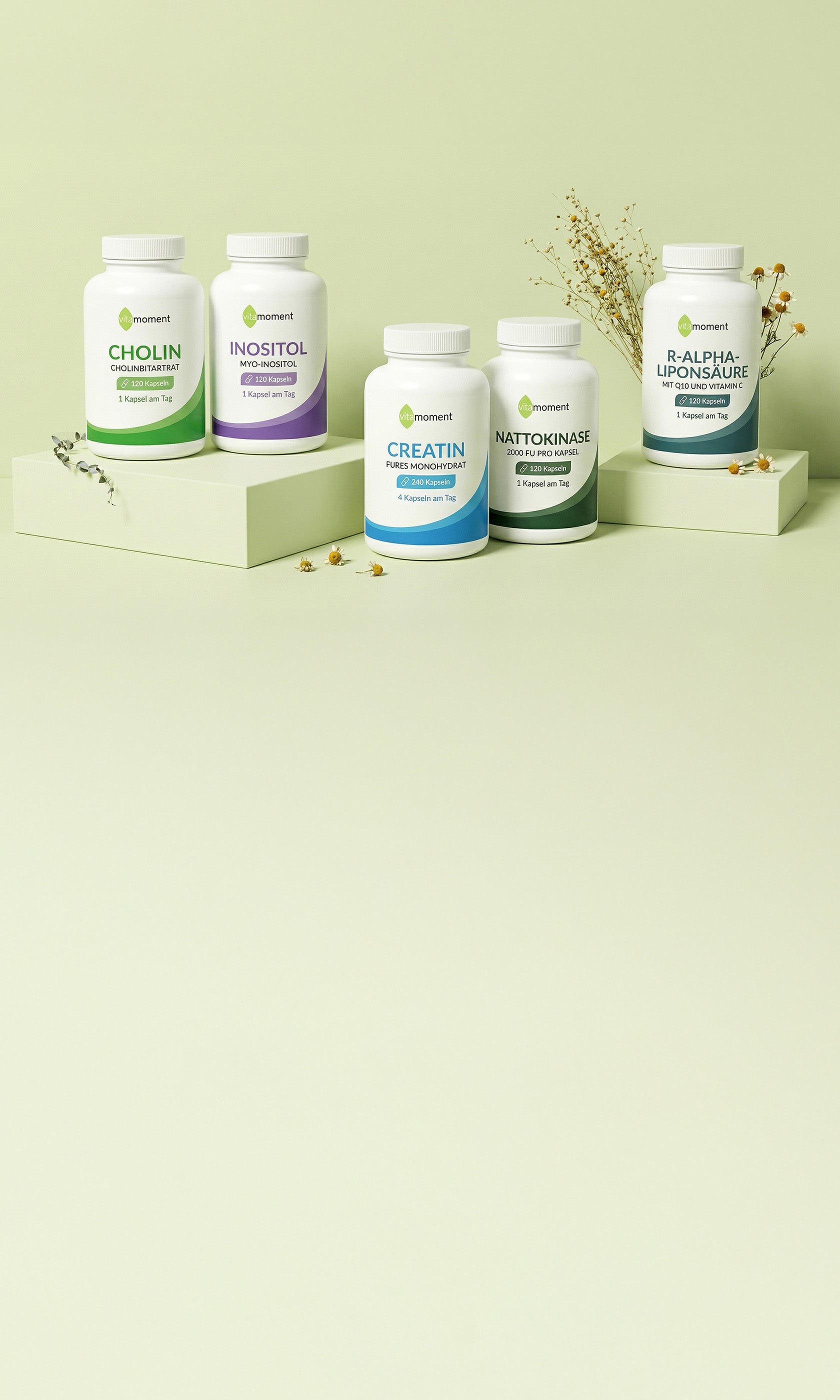 Vm produktrueckblick 03 26 shop header mobile