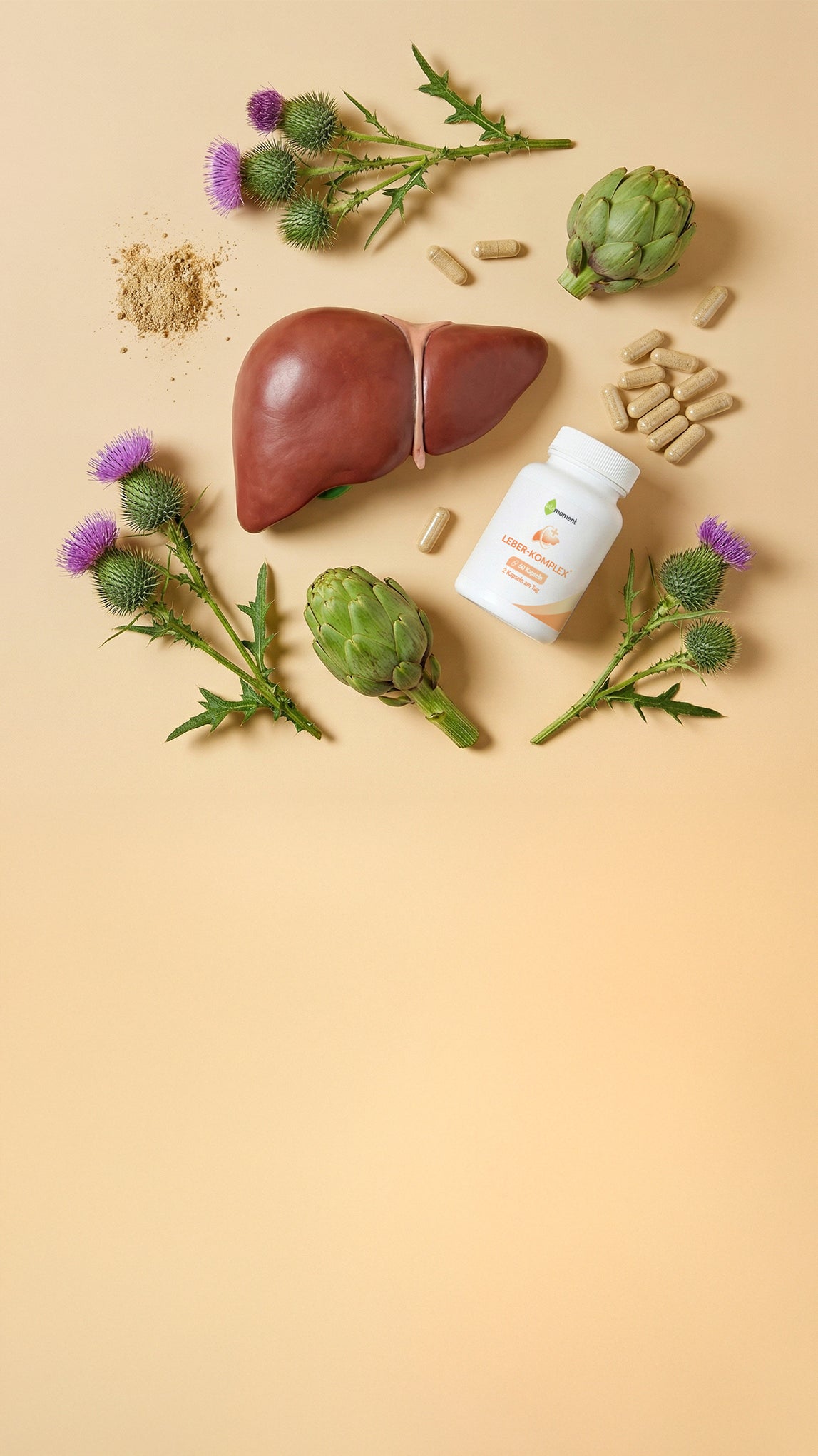 Vm redaktion lebergesundheit header mobil