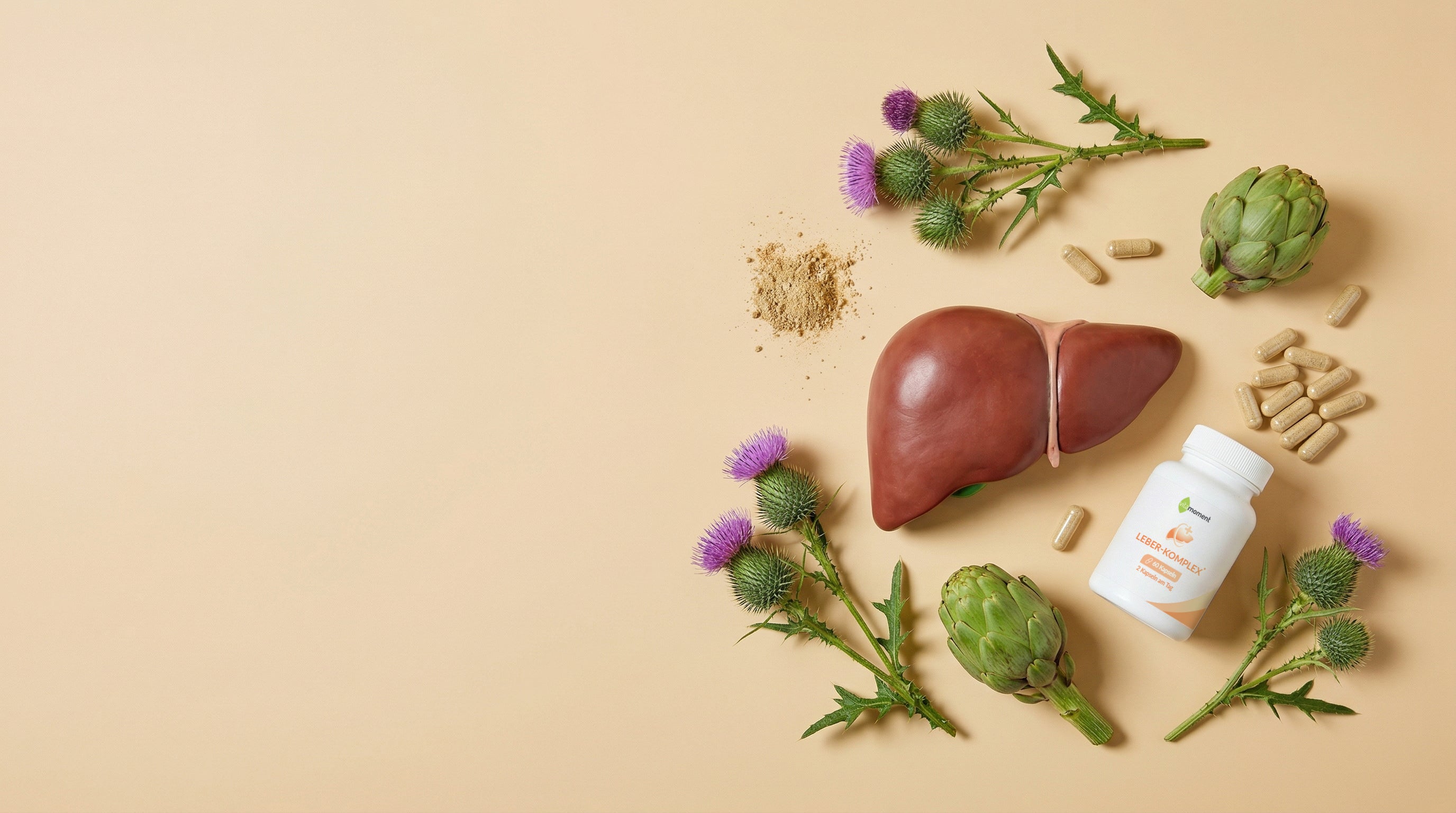 Vm redaktion lebergesundheit header