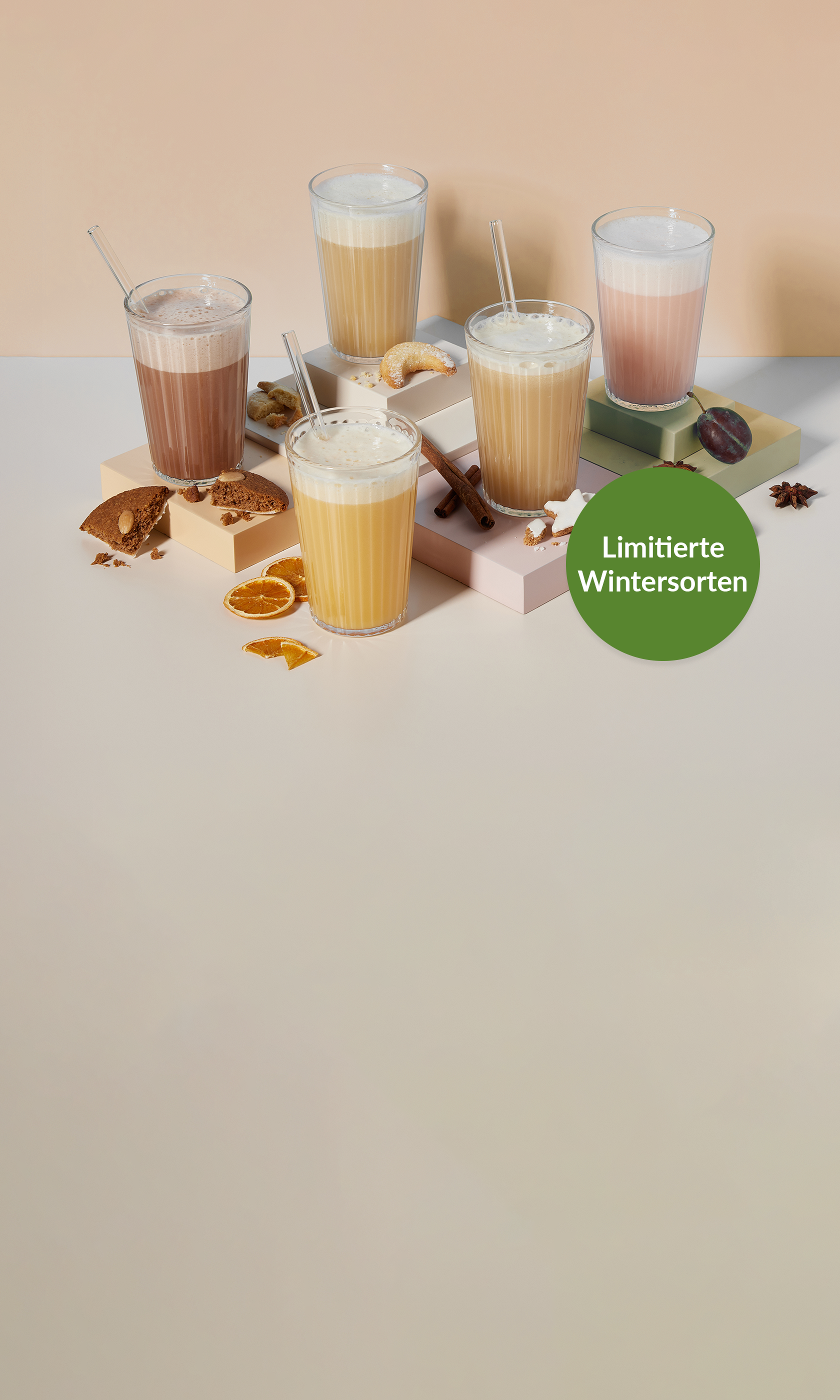 Vm start dp wintersorten shop header mobile