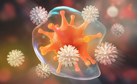 Immunabwehr: Darstellung eines Virus im Körper