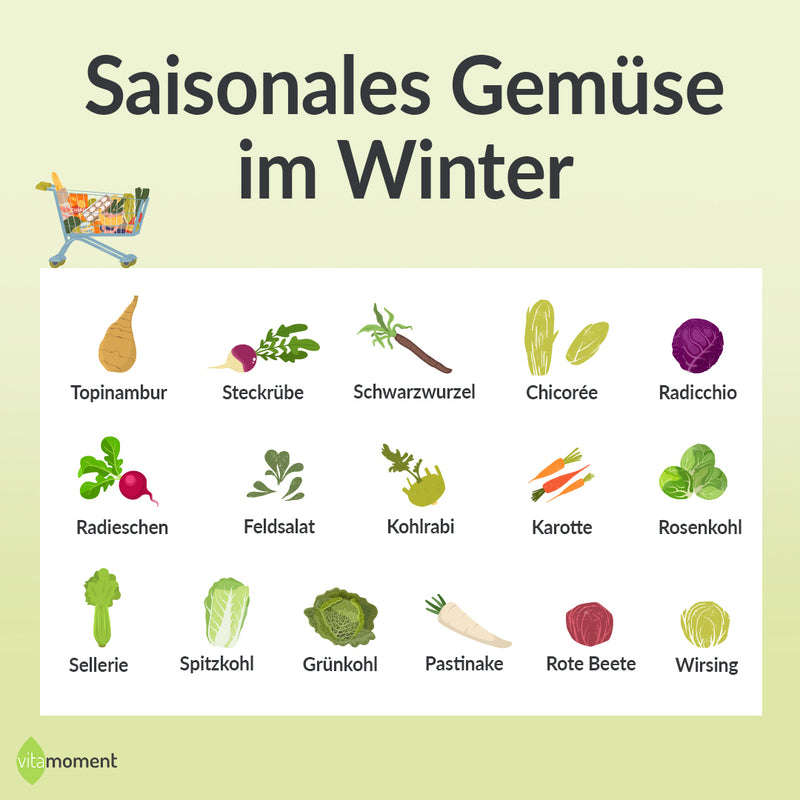 Wintergemüse: Infografik Saisonales Gemüse im Winter