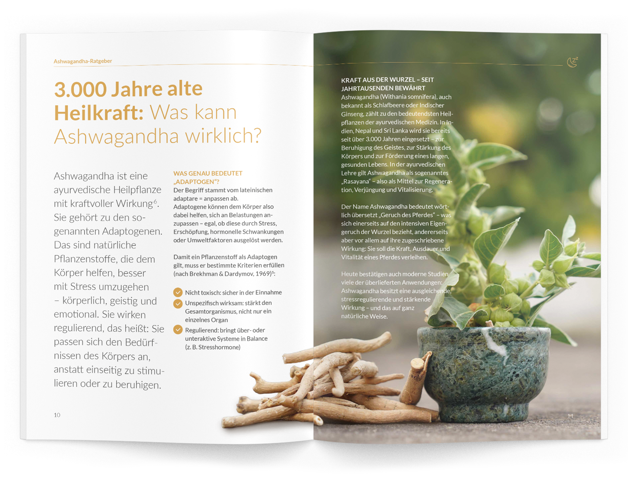 Ashwagandha-Ratgeber - VitaMoment Produkt