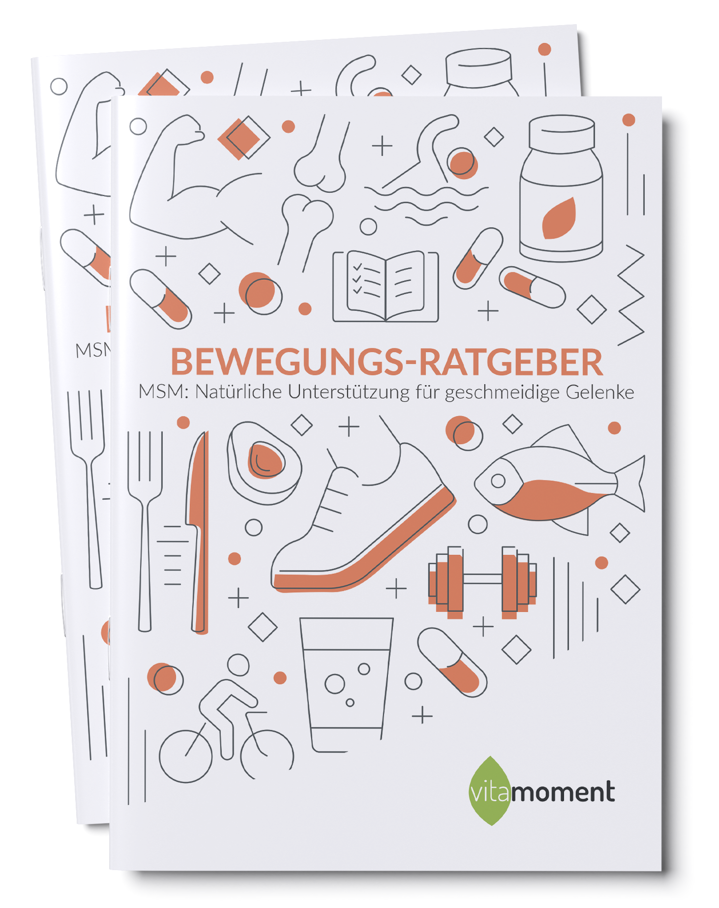 Bewegungs-Ratgeber (MSM)