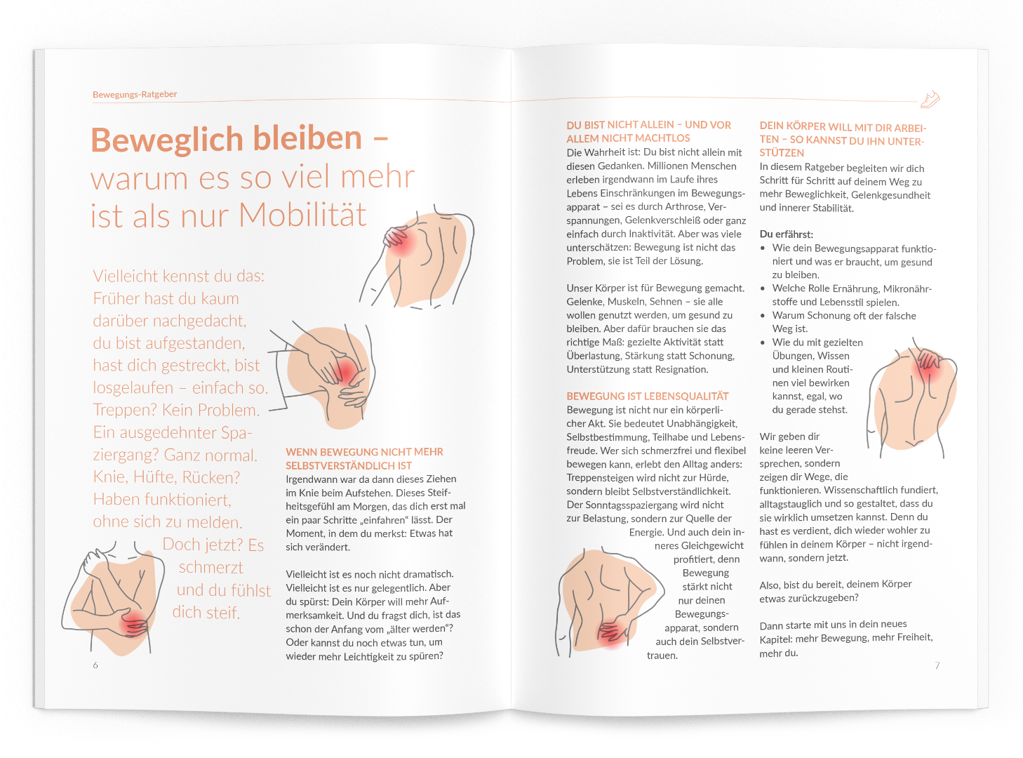 Bewegungs-Ratgeber (MSM) - VitaMoment Produkt