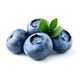 Blaubeer