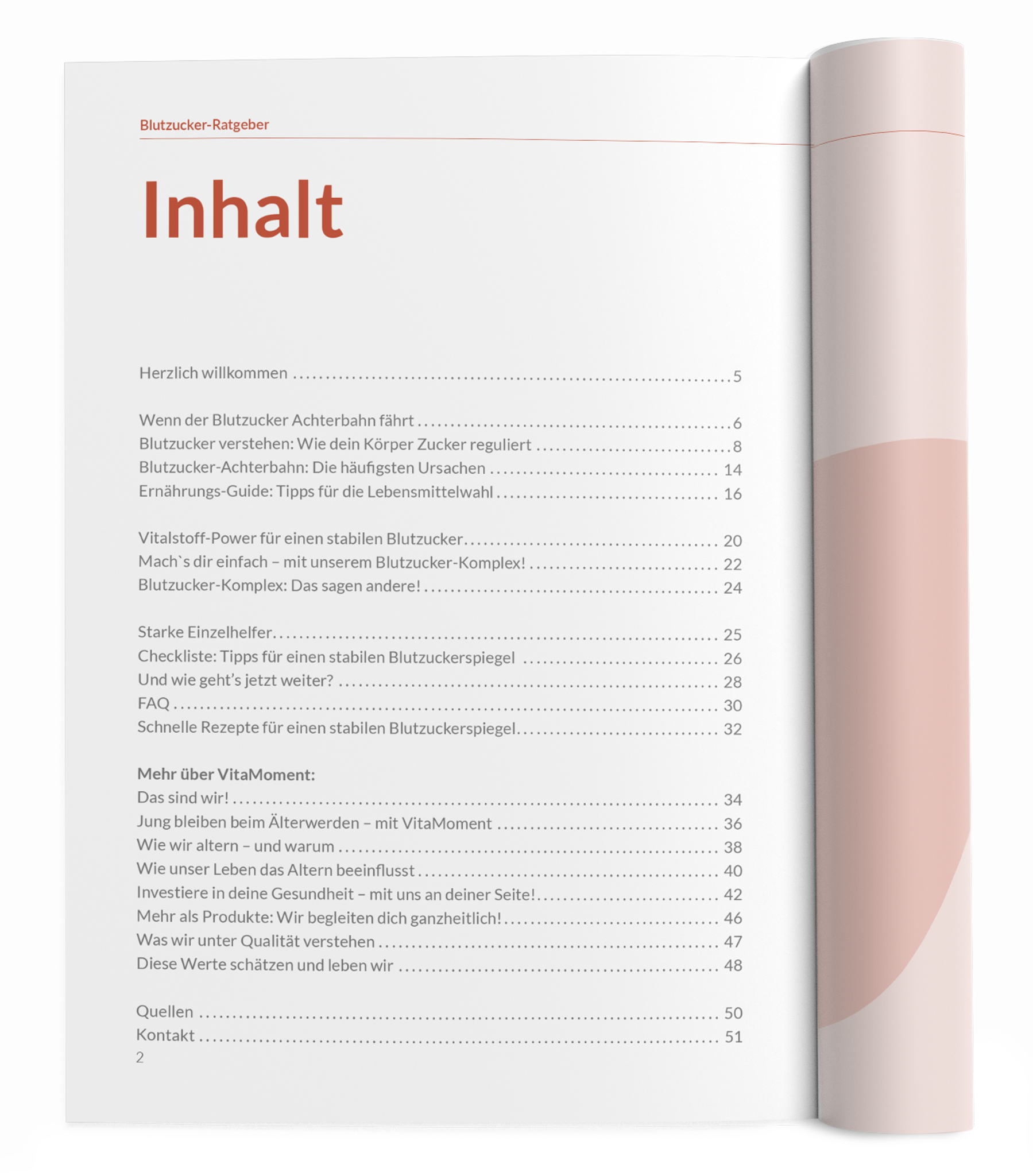 Blutzucker-Ratgeber - VitaMoment Produkt
