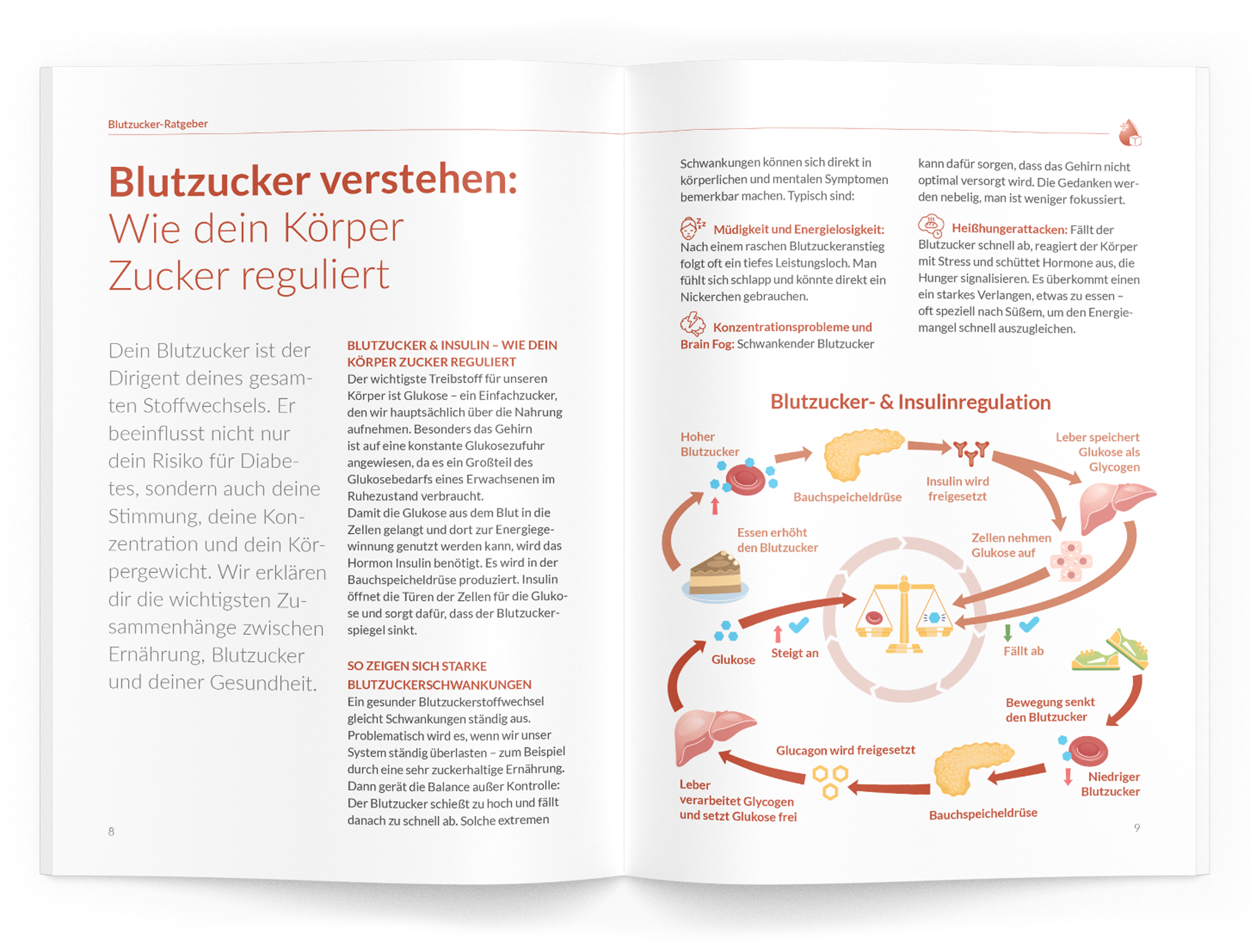 Blutzucker-Ratgeber - VitaMoment Produkt