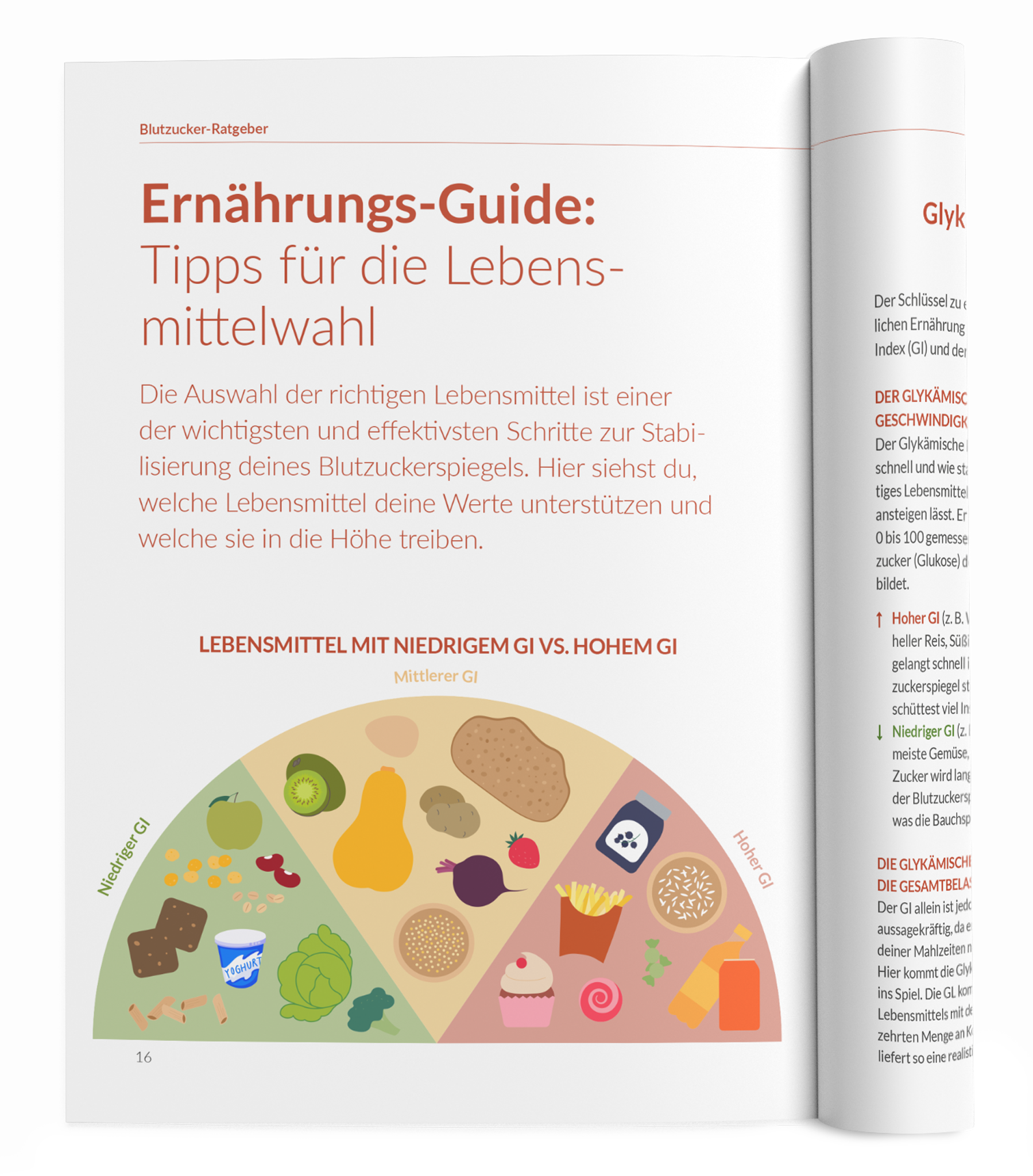 Blutzucker-Ratgeber - VitaMoment Produkt