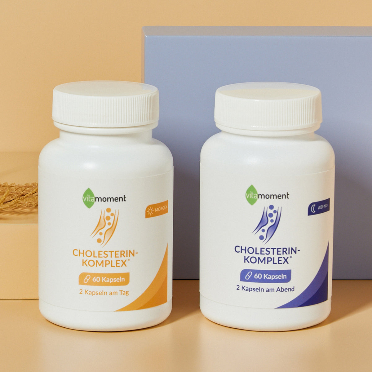 Cholesterin-Komplex ️ für Herzfunktion & Gefäße