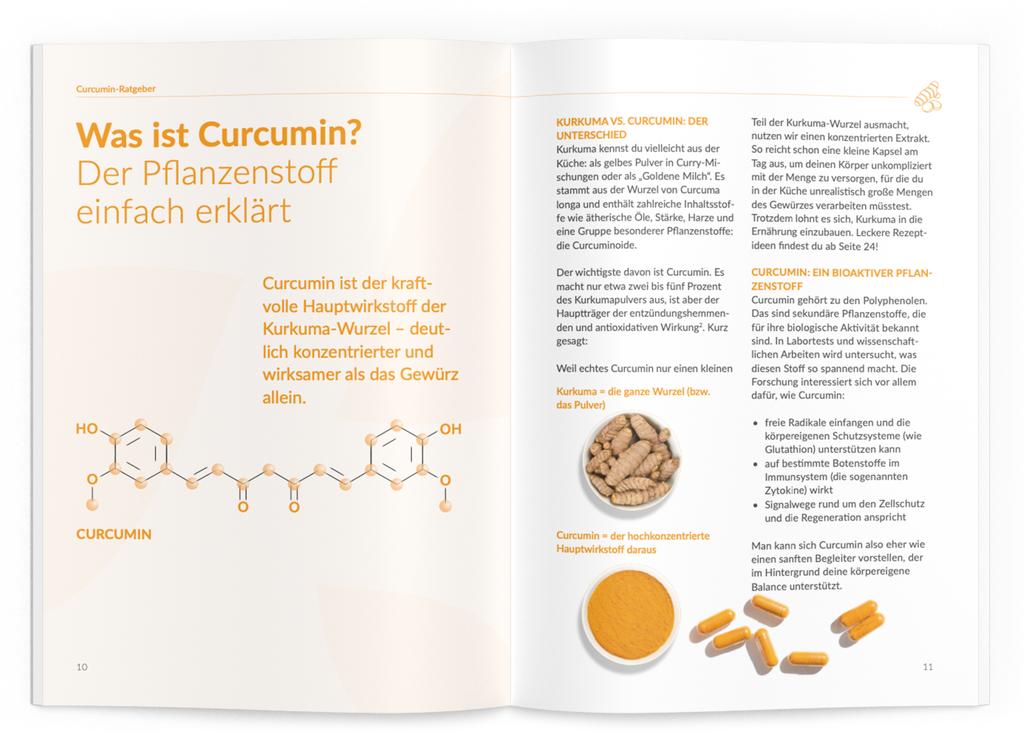 Curcumin-Ratgeber - VitaMoment Produkt